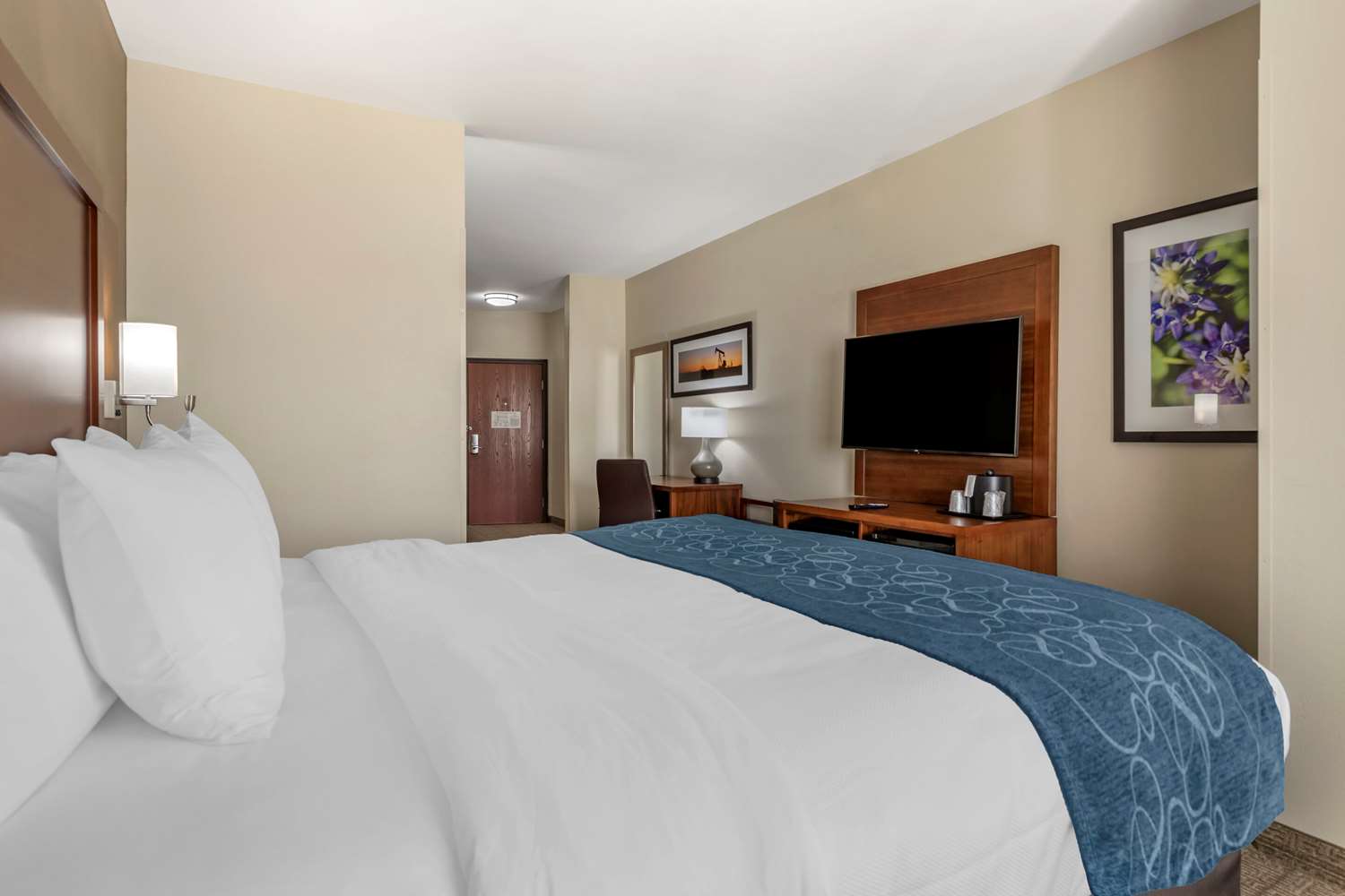 Efficiency, Suite, King Bed, Accessible