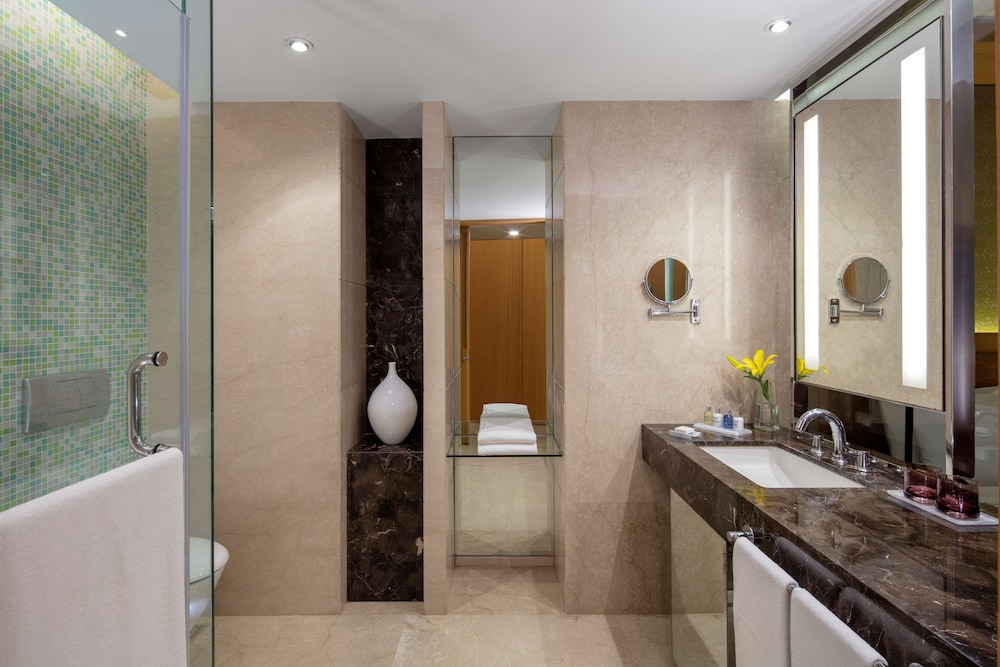 RADISSON BLU HOTEL GUWAHATI 48/48