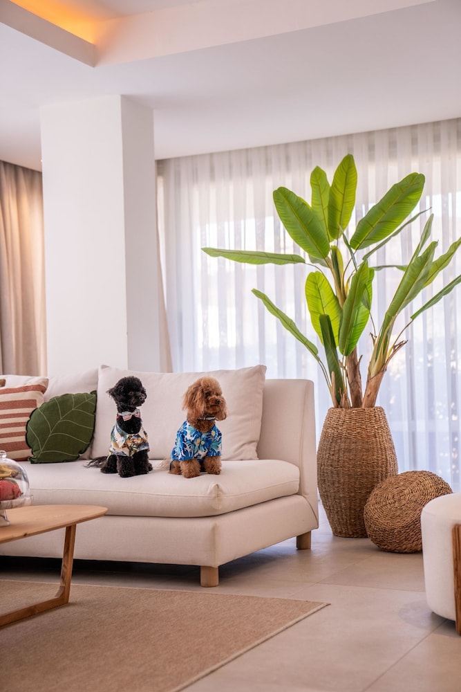 Club Arona by Laren Hotels 34/49