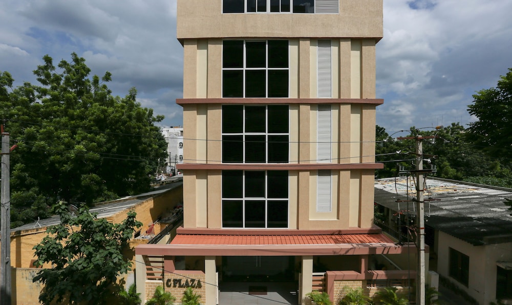 Treebo C-Plaza 1/41