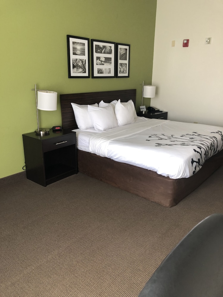 Sleep Inn & Suites Virginia Horse Center 11/53