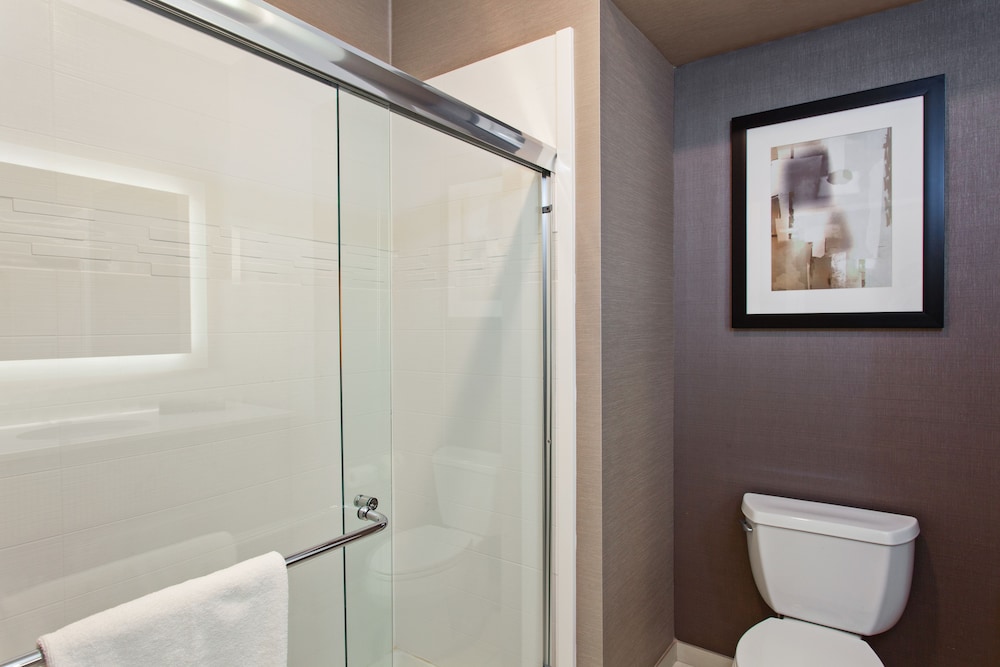 Holiday Inn Express & Suites Anaheim Resort Area 15/58