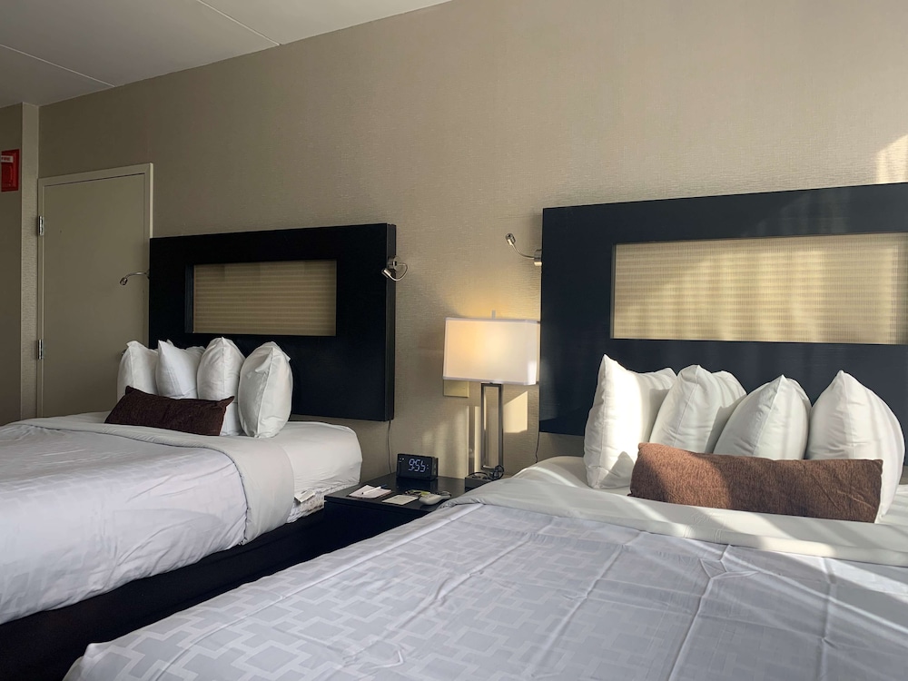 Best Western Executive Hotel Of New Haven - West Haven 6/48