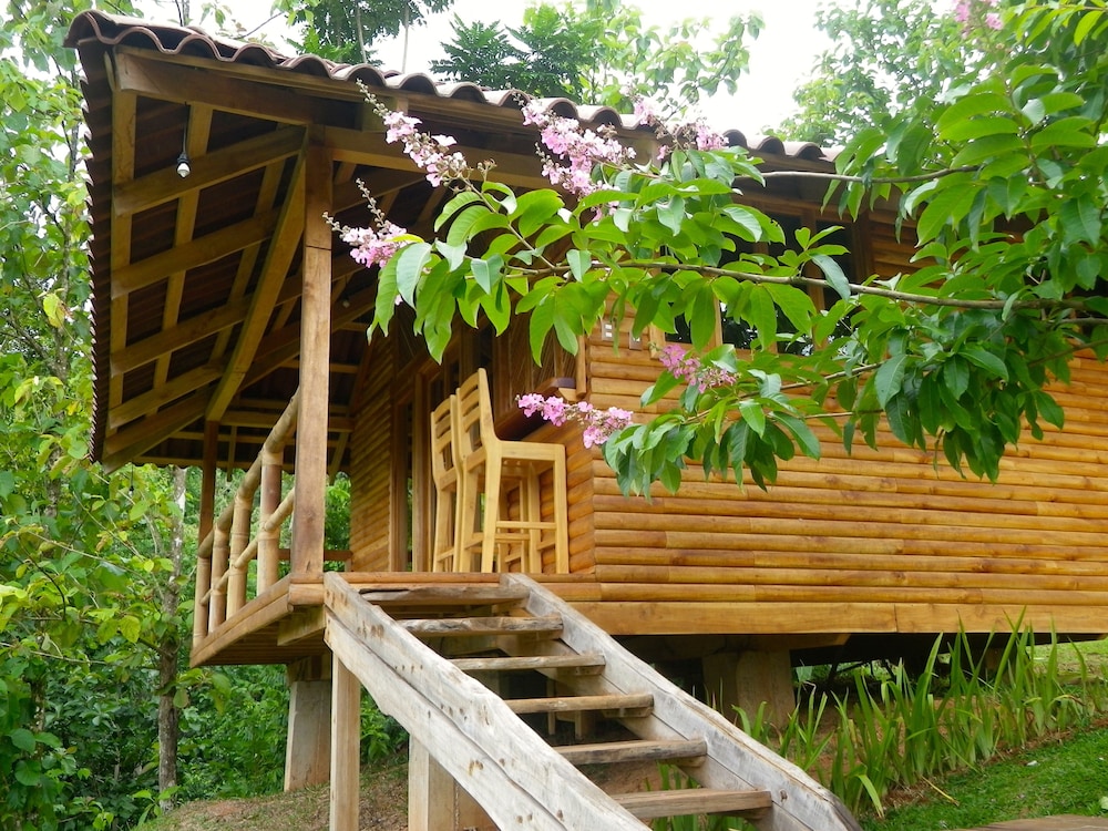 Macaw Lodge 3/64