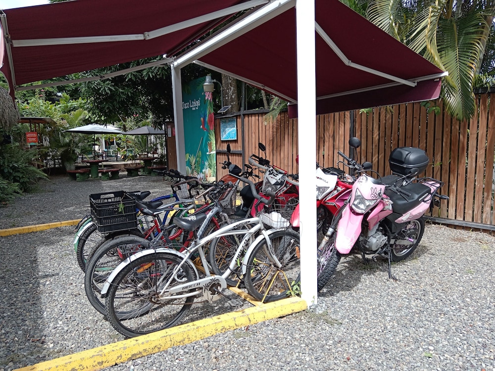 Jaco Lodge 31/50
