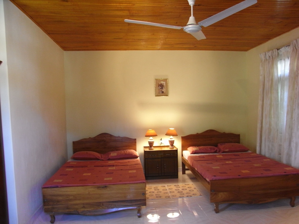 Rainforest Lodge 29/50