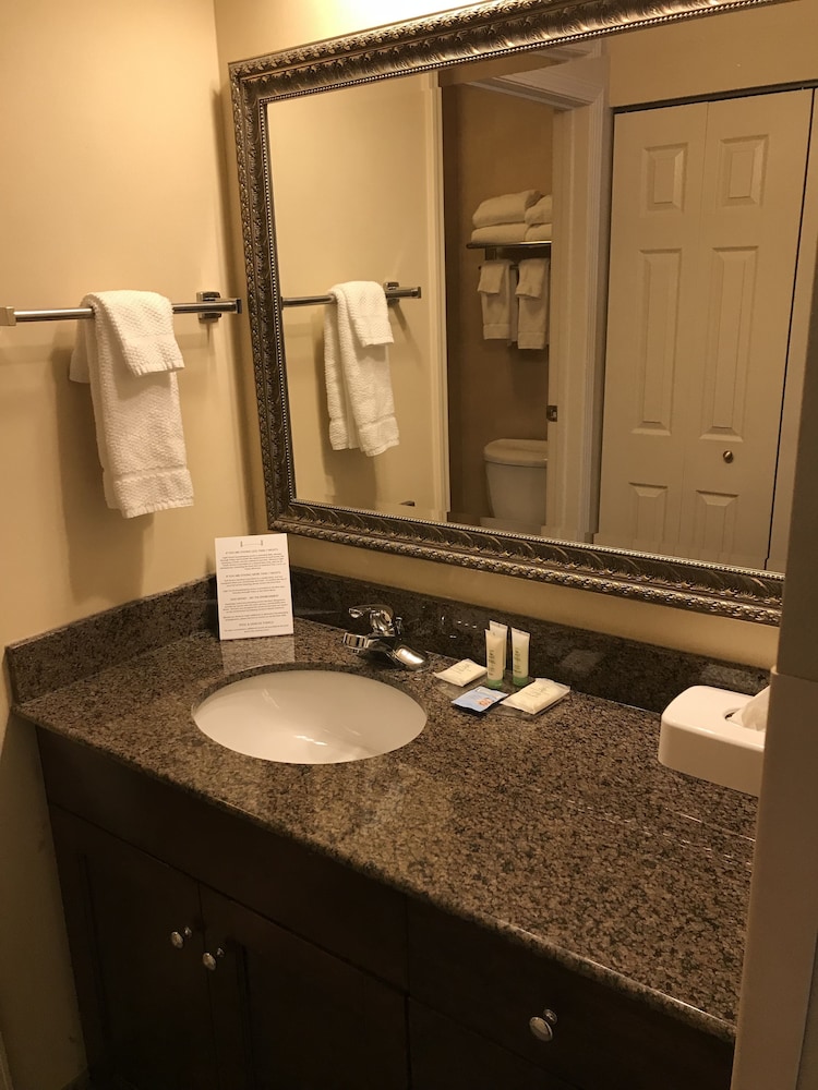 Staybridge Suites Williamsville Buffalo by IHG 25/65