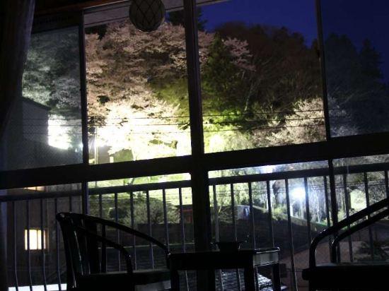 Tansen Hotel 21/49