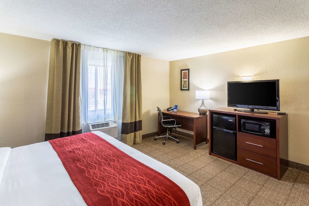 Suite, King Bed