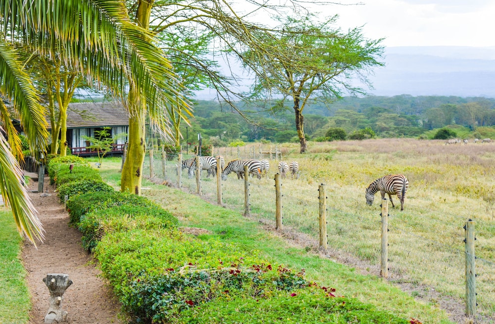 Lake Nakuru Lodge - All Inclusive 20/32