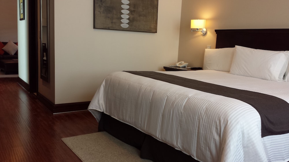 Hotel Casa Torres 12/45