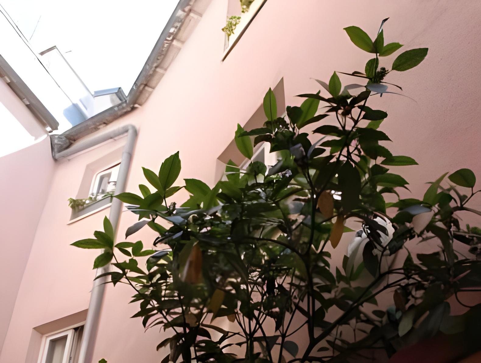 Hotel Aladin 20/23
