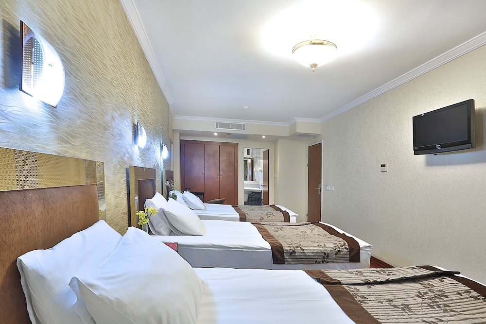 Grand Madrid Hotel 20/34