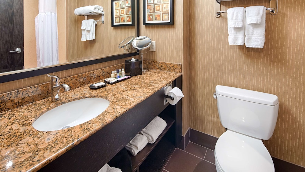 Best Western Premier Freeport Inn Calgary Airport 10/54