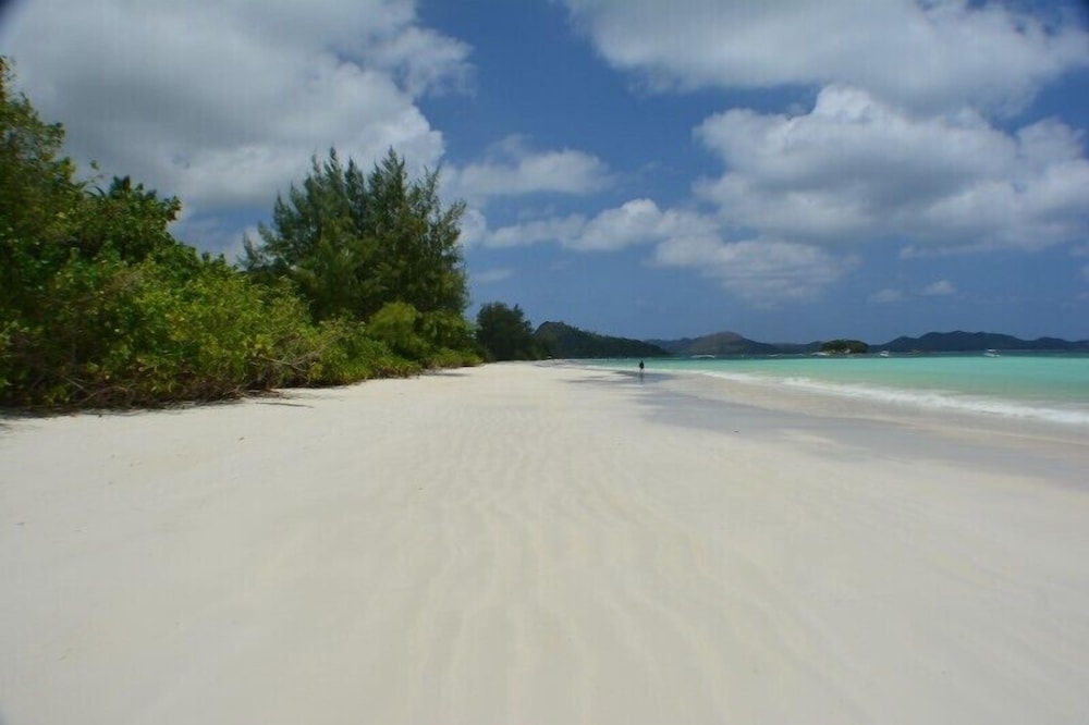 Heliconia Grove 32/46