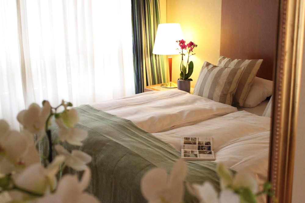 Royal Plaza Montreux Hotel 16/77