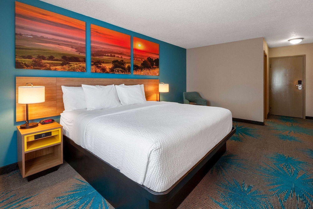 ROOM, KING BED, PET FRIENDLY, ACCESSIBLE