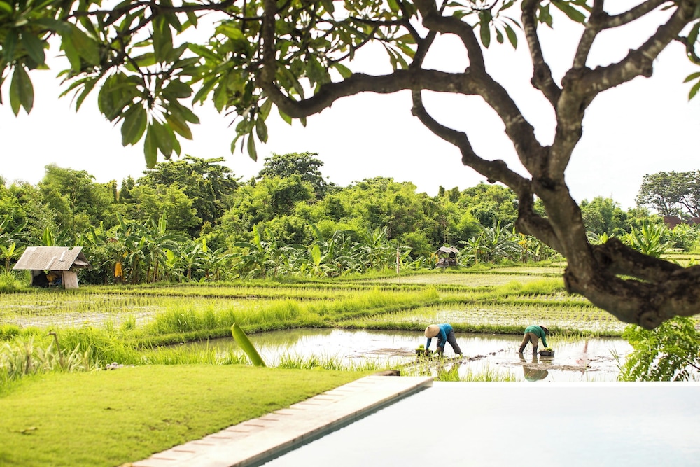 The Samata Sanur by LifestyleRetreats 42/50