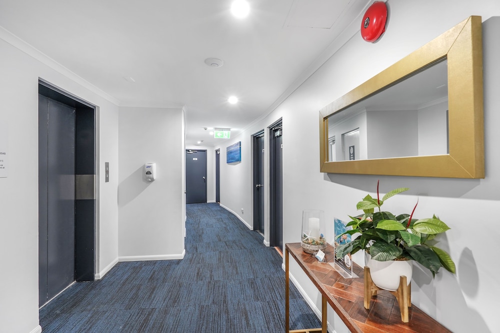 AMAROO AT TRINITY 25/50
