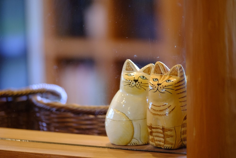 由布院わらねこの宿 写真2