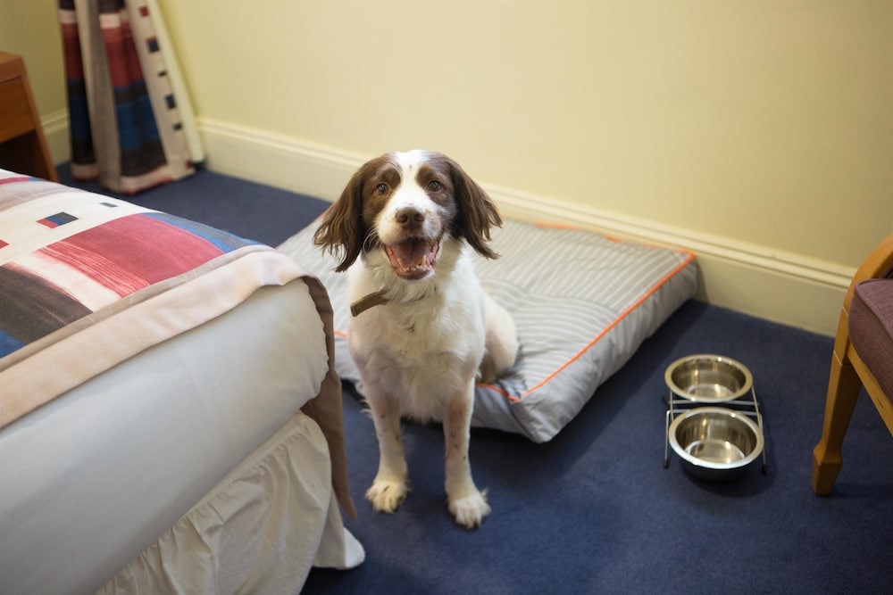 Best Western Bristol North The Gables Hotel 32/52