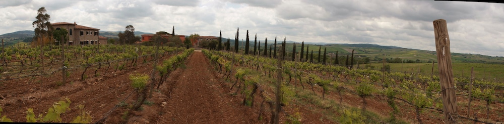 Agriturismo Le Ginestre 12/35