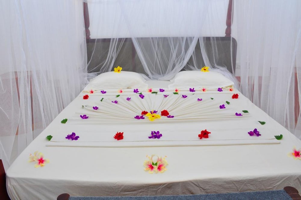 Hotel Bougainvilla 23/50