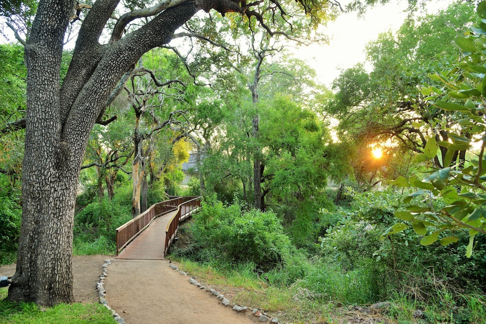 Imbali Safari Lodge 20/31