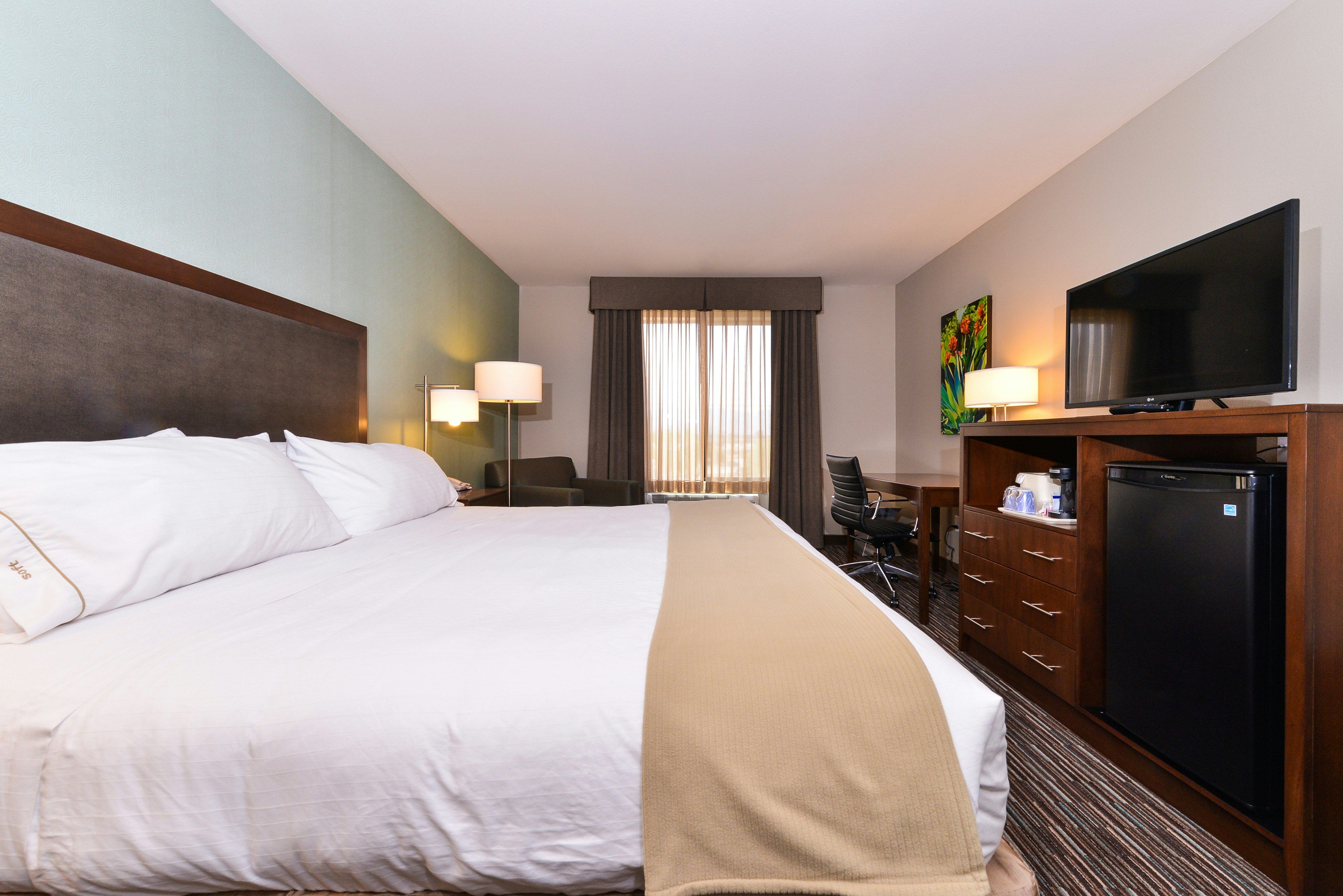 Holiday Inn Express Hotel & Suites Indio - Coachella Valley 27/78