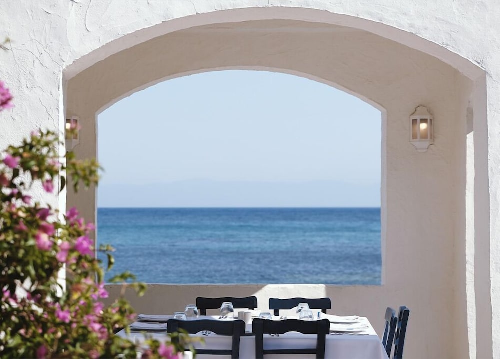 Paloma Pasha Resort 39/49