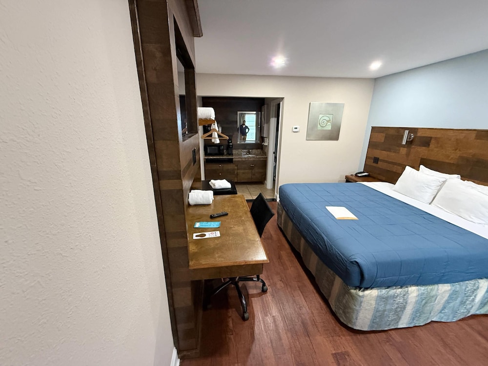 STANDARD, KING BED, PET FRIENDLY