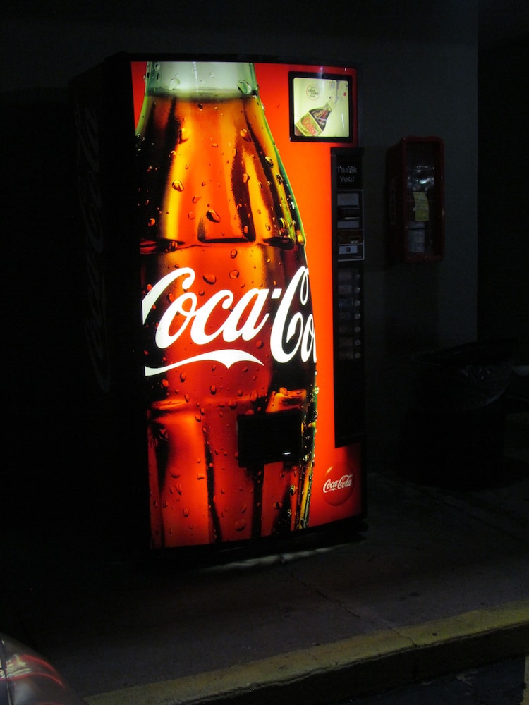 レッド カーペット イン 写真2