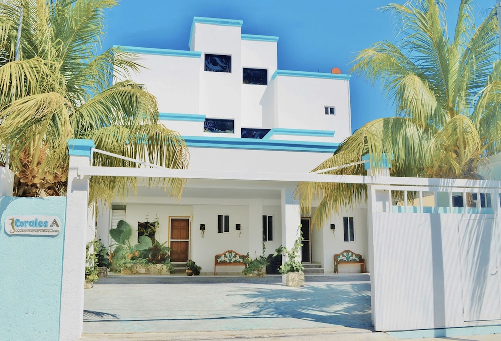 Corales Suites 5/50