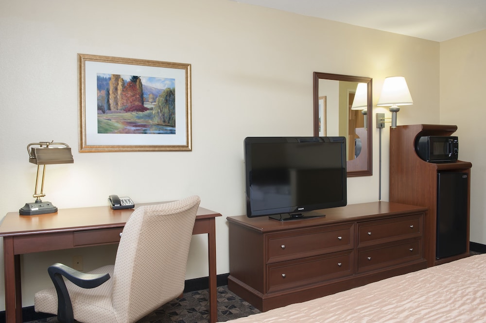 Baymont by Wyndham Mt. Pleasant 46/48