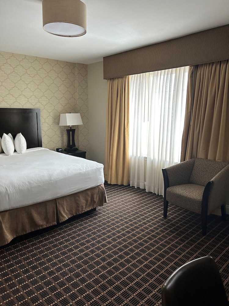American Hotel 19/44