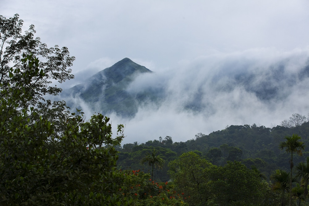 Vythiri Holiday Resorts 21/24