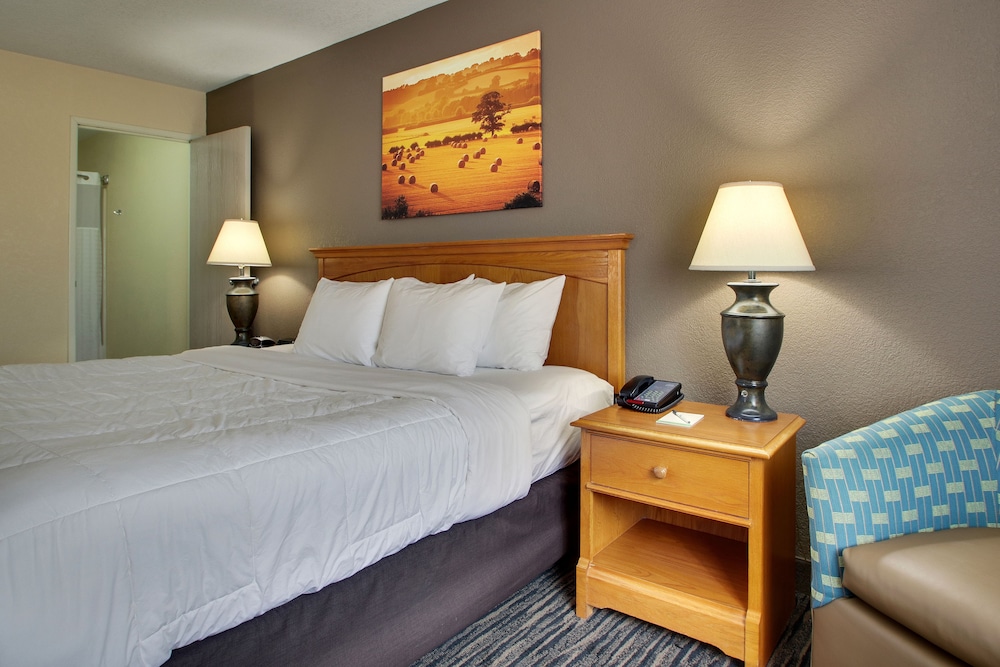 Everspring Inn Suites 29/44