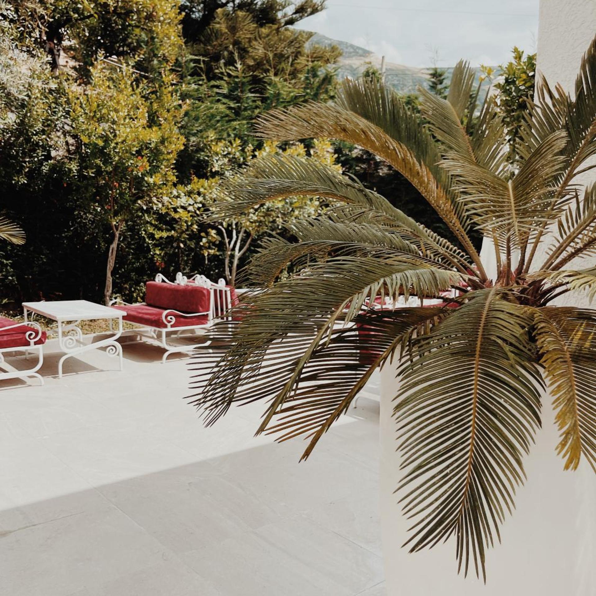 Ruby Palace 57/62