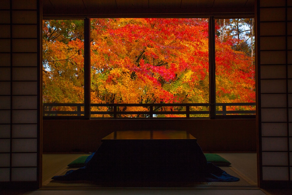 Tateshina Park Hotel (ex. Tateshina Ai) 54/69