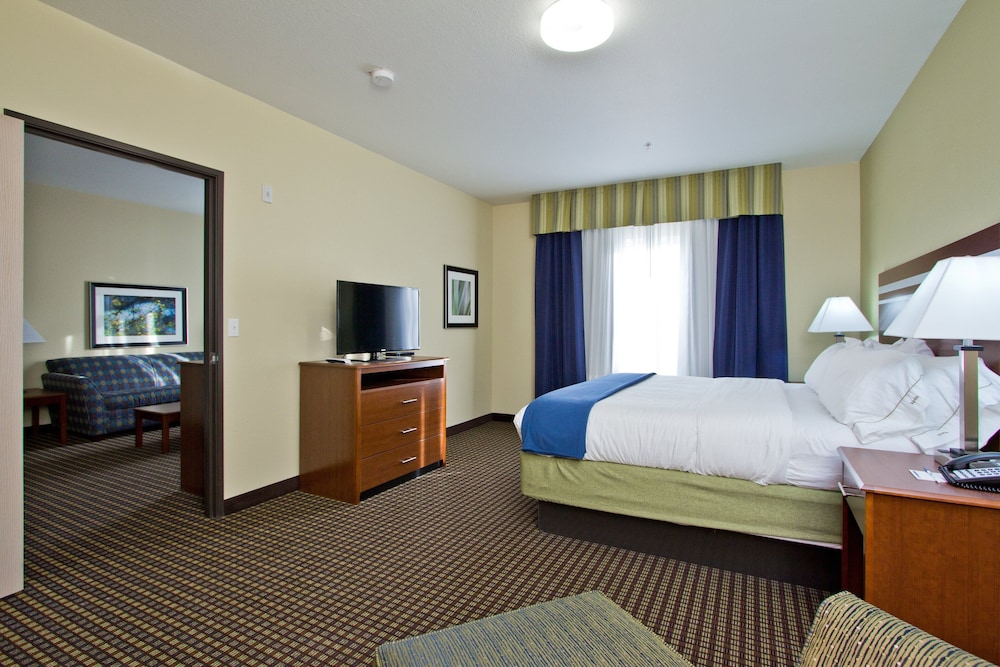 Holiday Inn Express Hotel Suites Denver East Peoria Street 15/59
