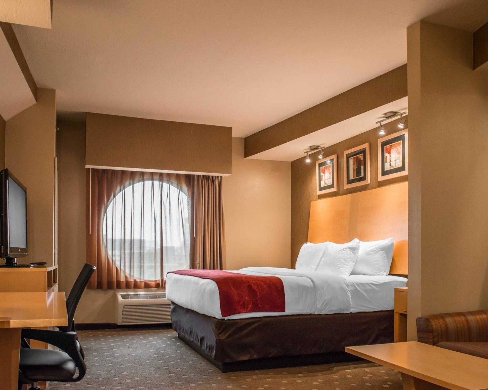 Suite, King Bed, Sofa