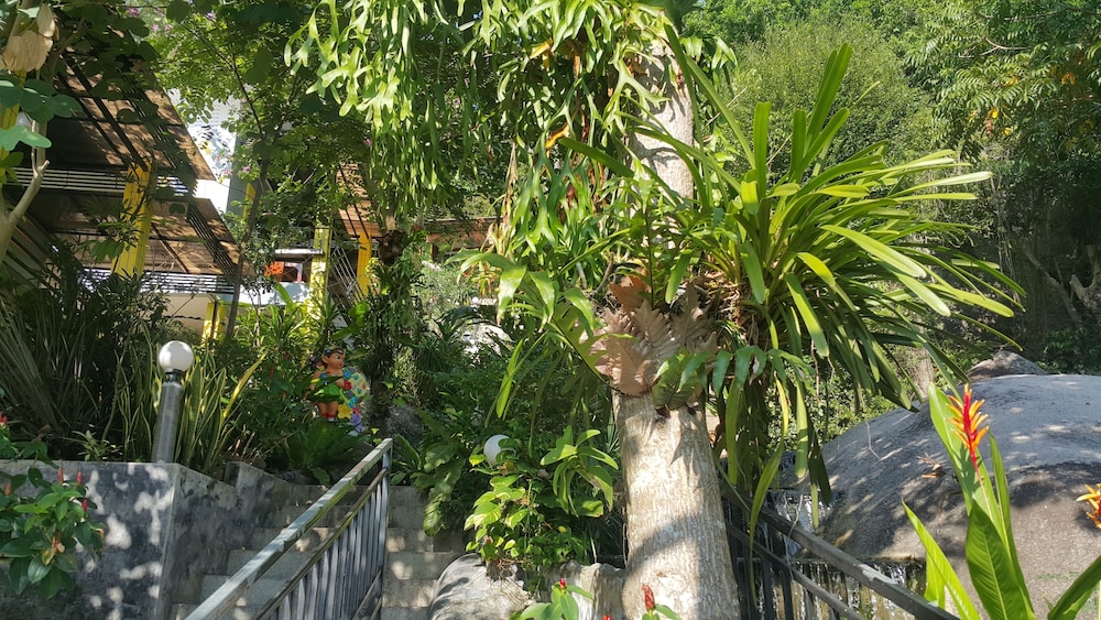 Greenery Resort Koh Tao 27/31