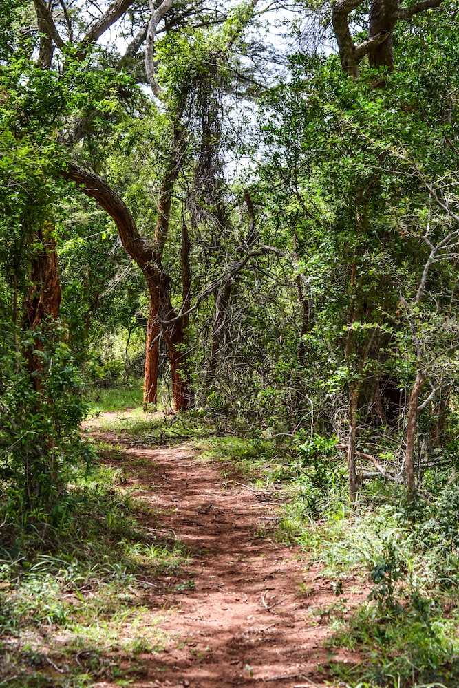 Bushlands Game Lodge 29/45