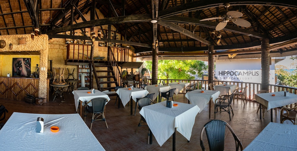 Hippocampus Beach And Dive Resort 41/59