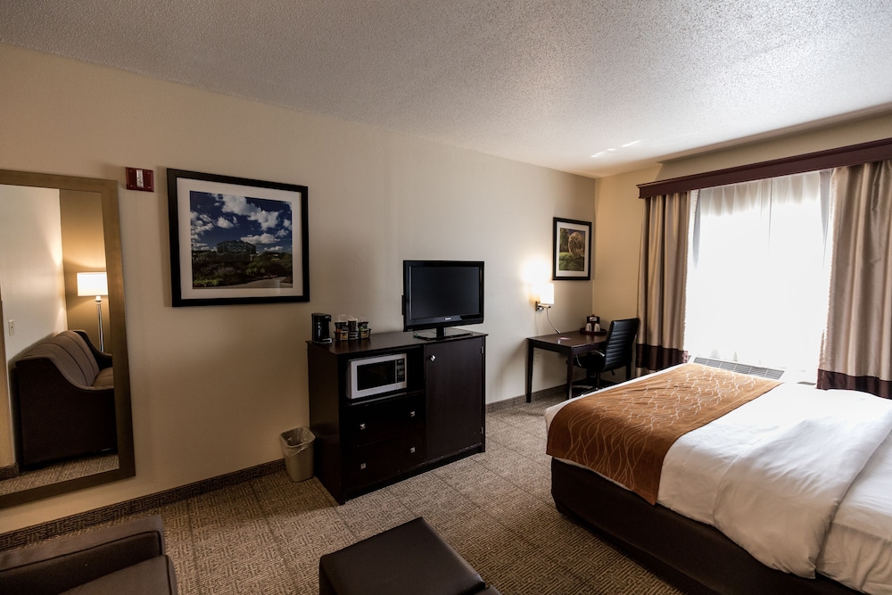 Comfort Inn And Suites Paw Paw 10/54