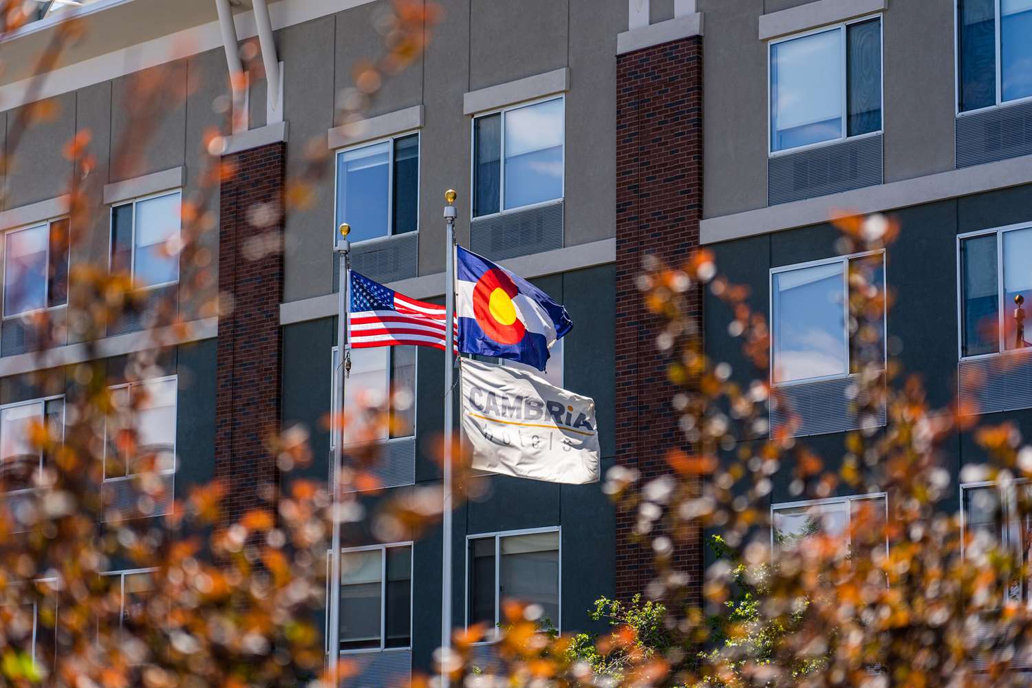 Cambria Hotel Ft Collins 16/26