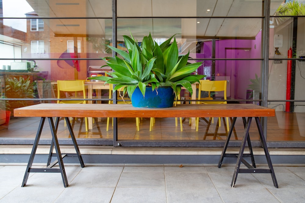 Dive Hotel Coogee Beach 32/53
