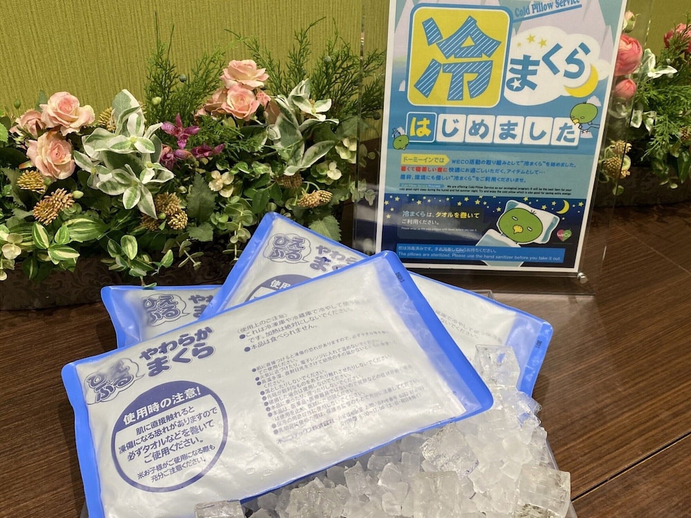 Dormy Inn Premium Kyoto Ekimae 26/37