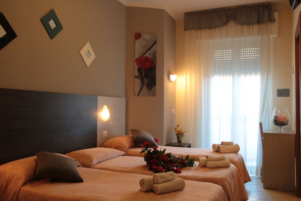 Hotel Senyor 14/50