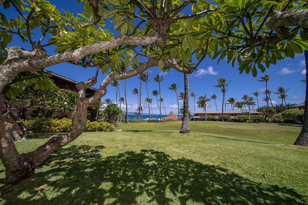 Napili Shores Maui by Outrigger 33/50